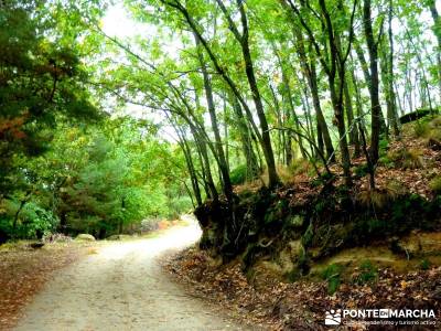 Reserva Natural del Valle de Iruelas;cultura viajes rutas y senderismo caminatas 